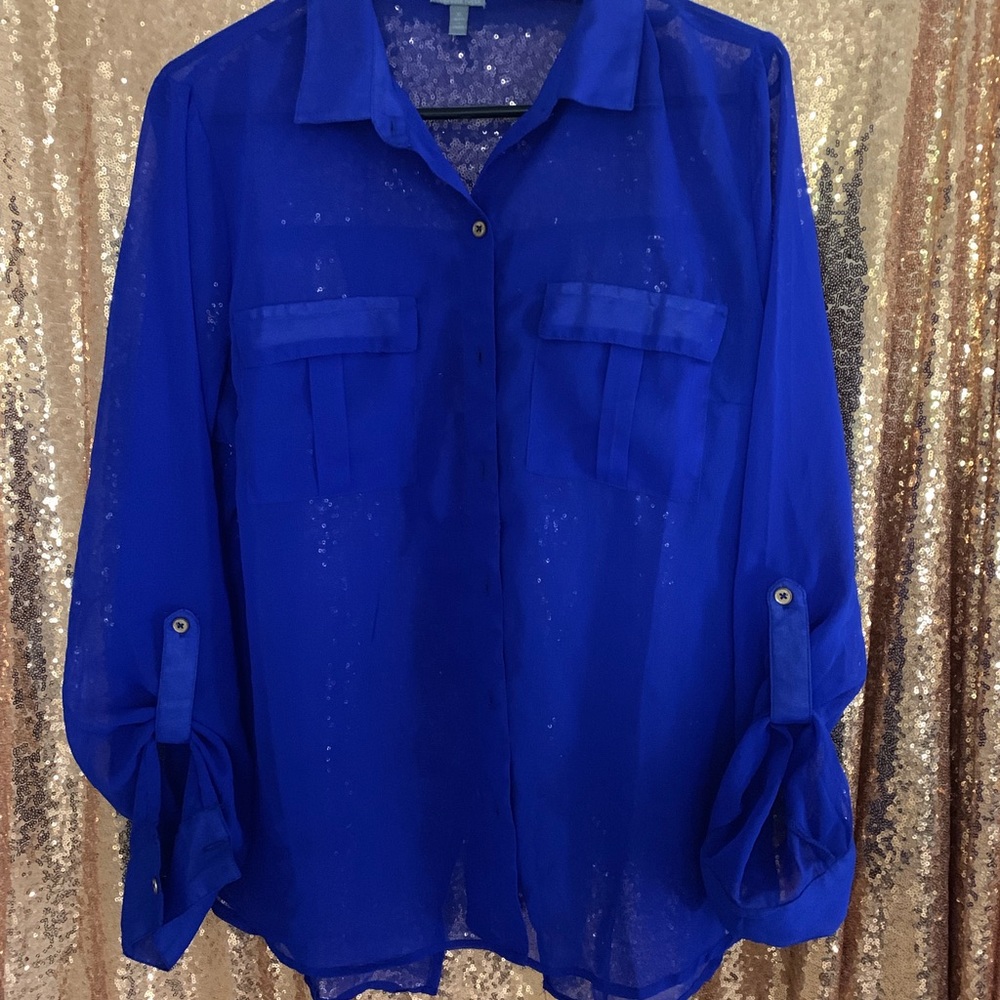 Sexy Sheer Top!  Like New!